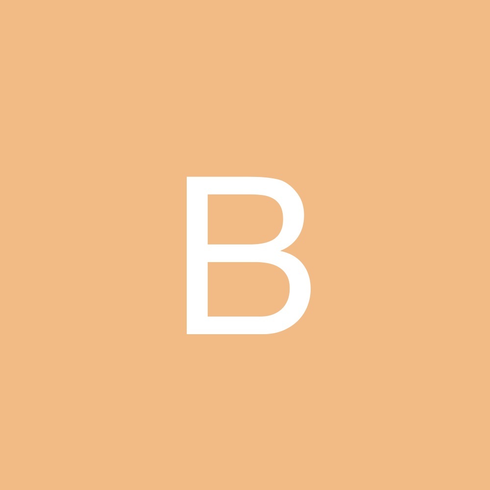 Meet your Posher, Blamertook